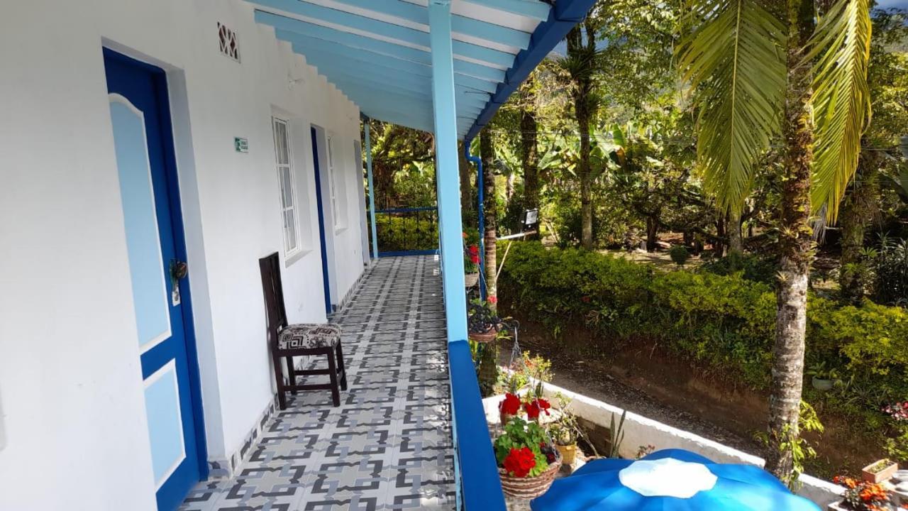 Travesía Original Vísta Farallónes Jardin Exterior foto