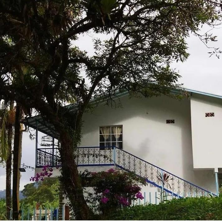 Travesía Original Vísta Farallónes Jardin Exterior foto